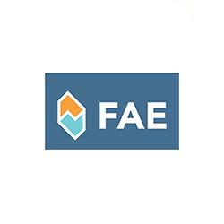 Запчасти FAE