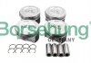 Поршень Audi A3/A4/VW Passat 1.6 96-10 (81.01mm/STD) Borsehung B16955 (фото 1)