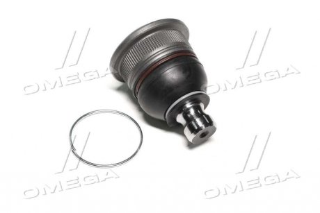 Опора шаровая (передняя/снизу) Renault Megane II/Scenic 02- (d=16mm) SASIC 4005272