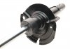 Амортизатор (передній) Ford Focus III 1.0-2.0 12- (L) BILSTEIN 22-255969 (фото 7)