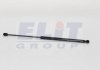 Газовий амортизатор (GAS SPRING) OPEL ASTRA G 01/98-03/04 TAILGATE WITHOUT SPOILER - HATCHBACK, 3 AND 5 DOORS WITHOUT OPC, ECO, SPORT [430719016 MAGNETI MARELLI GS0165 (фото 1)