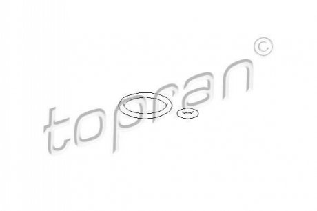 Кольцо уплотнительное (топливная система) VW Bora/Golf/Passat/T5 1.4-3.2 91-09 (к-кт 2 шт) (бензин) TOPRAN / HANS PRIES 100 736