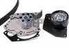 Комплект ГРМ + помпа Renault Megane/Scenic/Grand Scenic 1.9 dCi 09- (133x26) PK09660