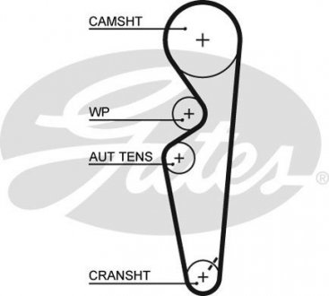 Пас ГРМ з довжиною кола понад 60 см, але не більш як 150см GATES 5431XS (фото 1)