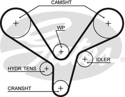 Пас ГРМ з довжиною кола понад 150см, але не більш як 198см GATES 5636XS (фото 1)