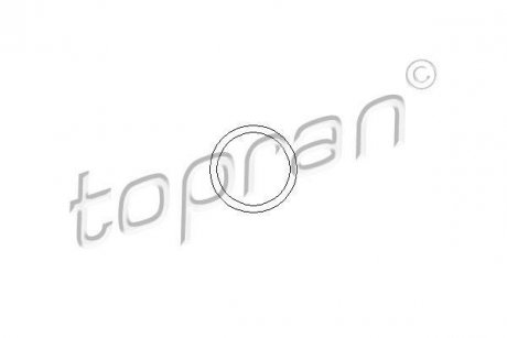 Прокладка термостата Opel Vectra/Kadet/Daewoo Espero 1.6/1.8/2.0 84-03 TOPRAN / HANS PRIES 202 327