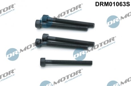 Комплект болтів з головкою системи TORX з чорного металу DR.MOTOR DRM01063S (фото 1)