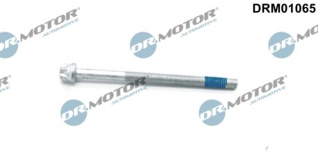 Болт кріплення форсунки MB A-Class (W168) 1.7 CDI 98-04 DR.MOTOR DRM01065