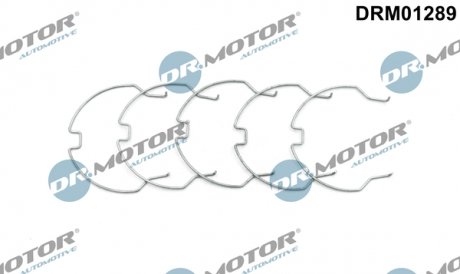 Комплект хомутів металевих DR.MOTOR DRM01289