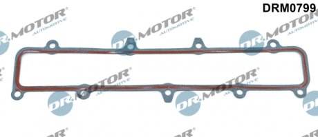 Прокладка коллектора впускного Fiat Ducato/Citroen Jumper 3.0D 06- DR.MOTOR DRM0799