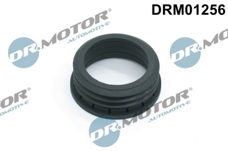 Кільце гумове DR.MOTOR DRM01256