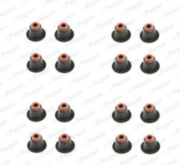 Сальник клапана (компл.) BMW N42/N46 (16PCS) (вир-во) Payen HR5086