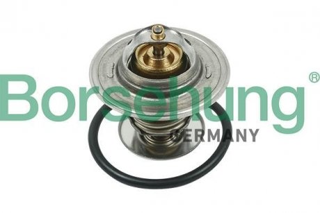 Термостат VW T4/T5/Audi A3/A6 1.9D/1.9/2.0TDI/2.0 90- (від 87 до 102 °C) (OE VAG) Borsehung B13141