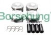 Поршень VW Golf VI/VII/Passat B8/Skoda Octavia III/Superb III 2.0 TSI 13- (STD) (к-кт 4шт.) Borsehung B13574 (фото 1)